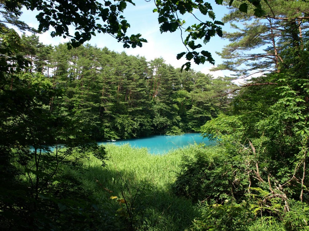 5shikinuma