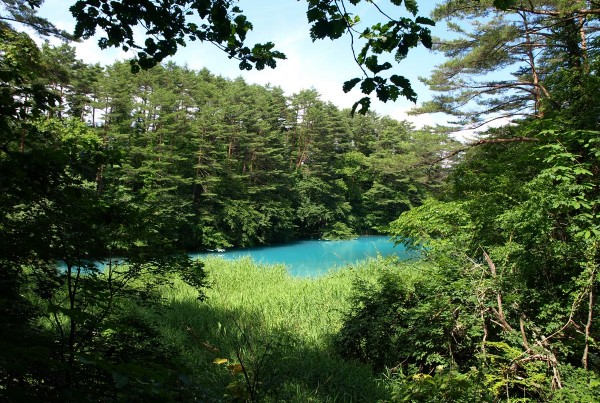 5shikinuma